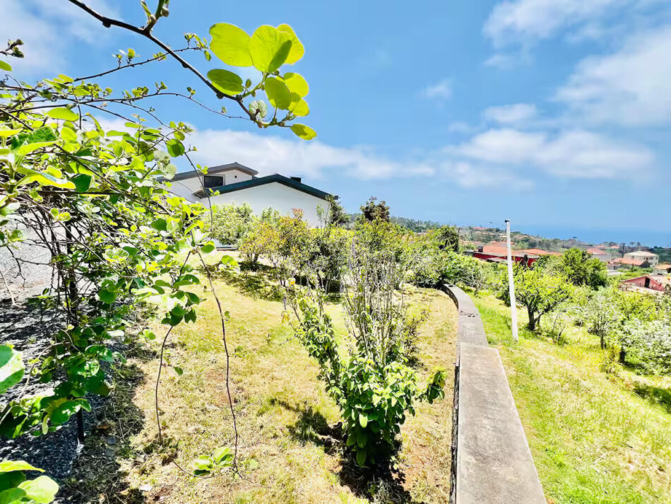 Casa Nespera 64