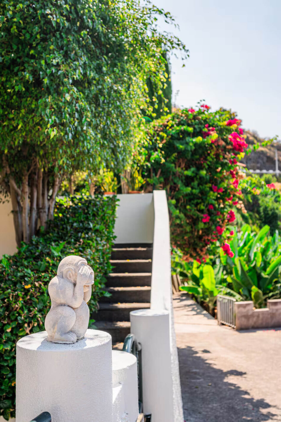 Portola House 40
