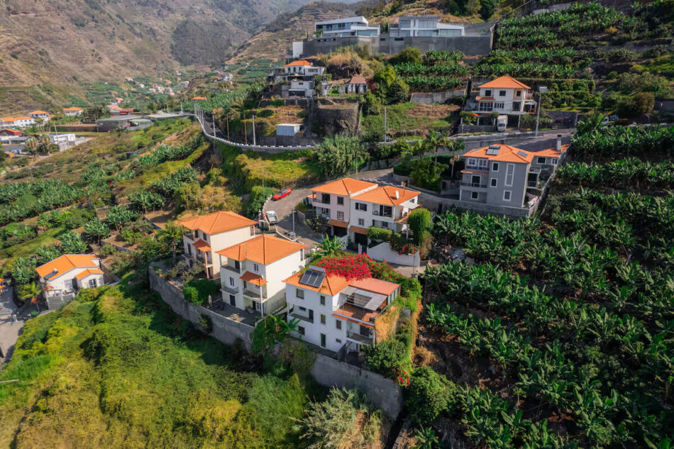Portola House 43