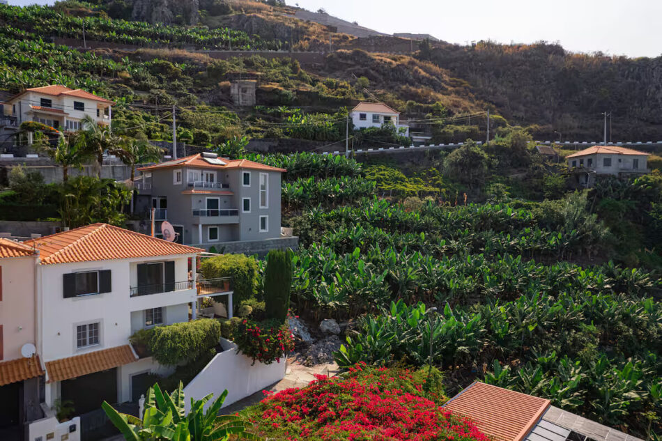 Portola House 47