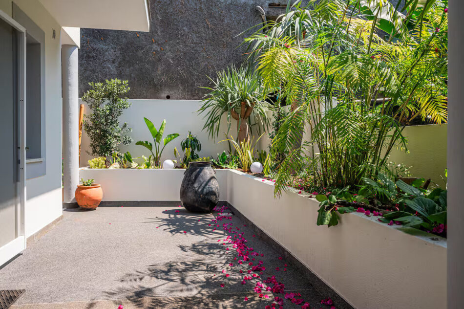 Portola House 50