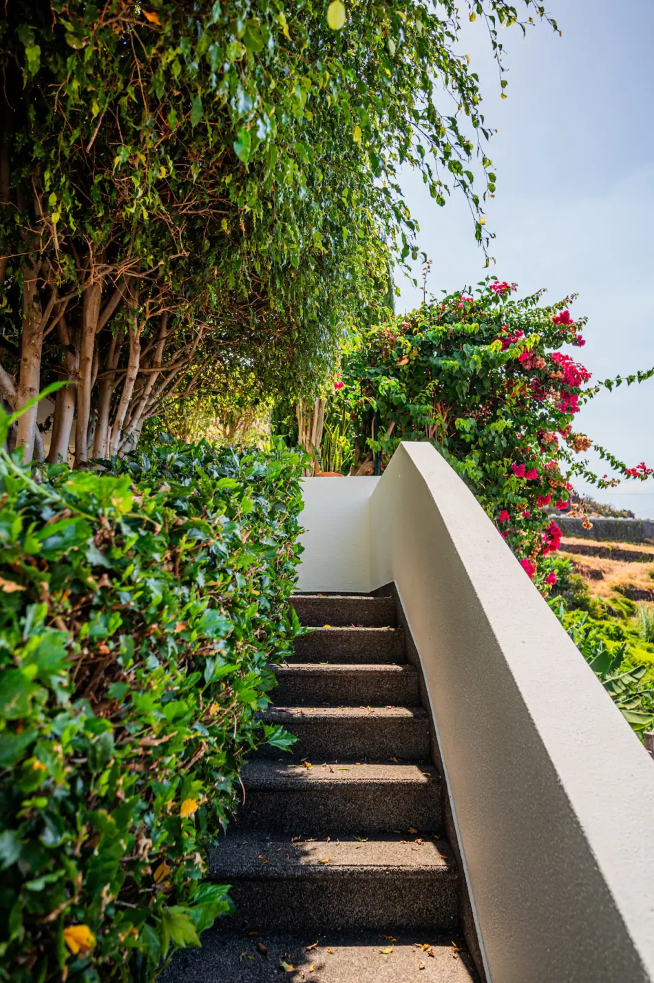 Portola House 51